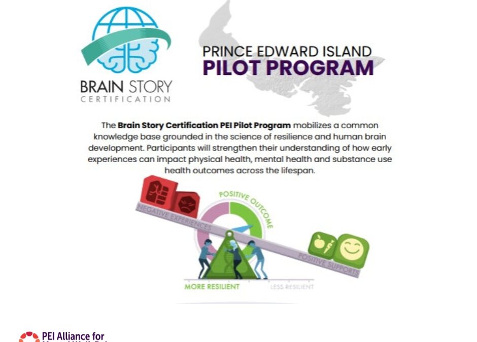 Community Health and Social Service Professionals certified in The Brain Story (Government of PEI)